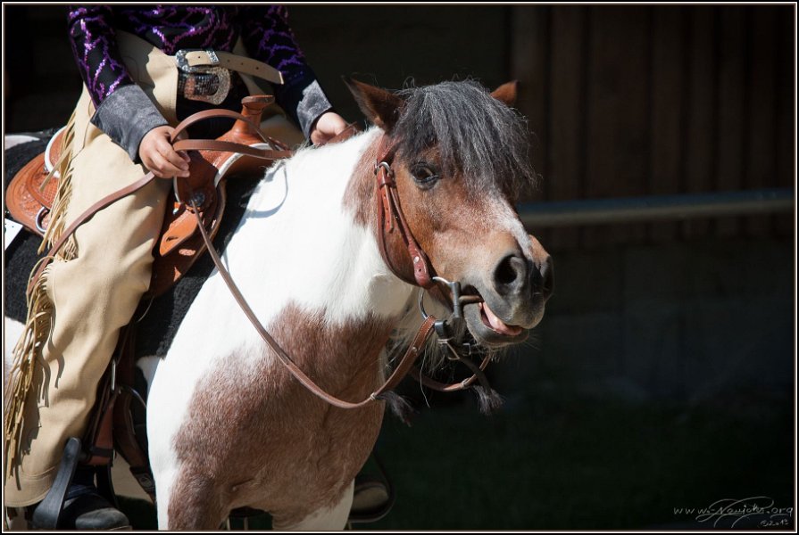 Thalmeier Ranch 2014 06 15 - 052